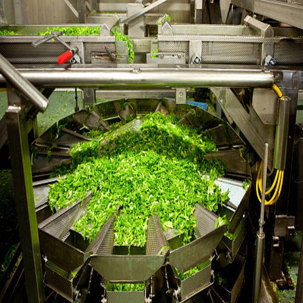 Vegetable Processing Plant Image