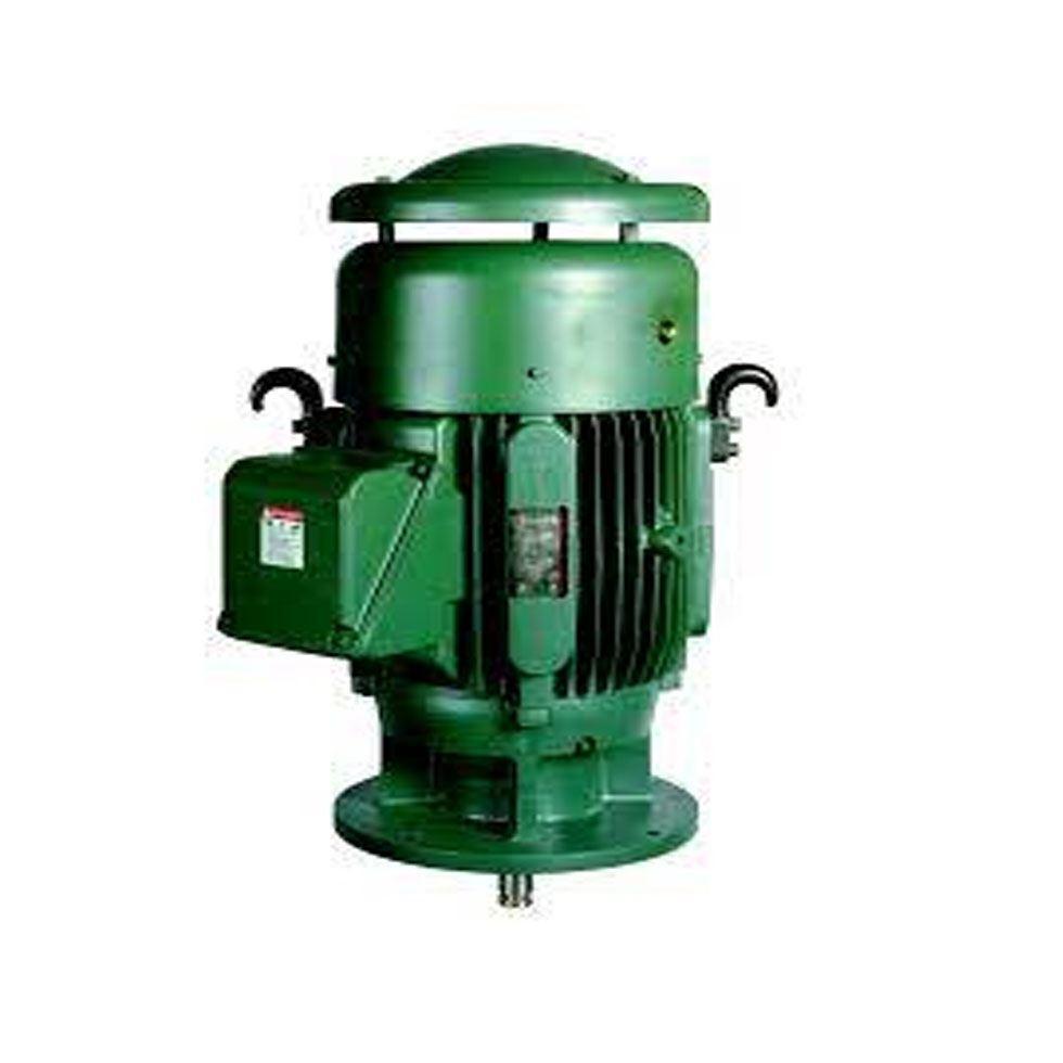 Vertical Electric Motors Image