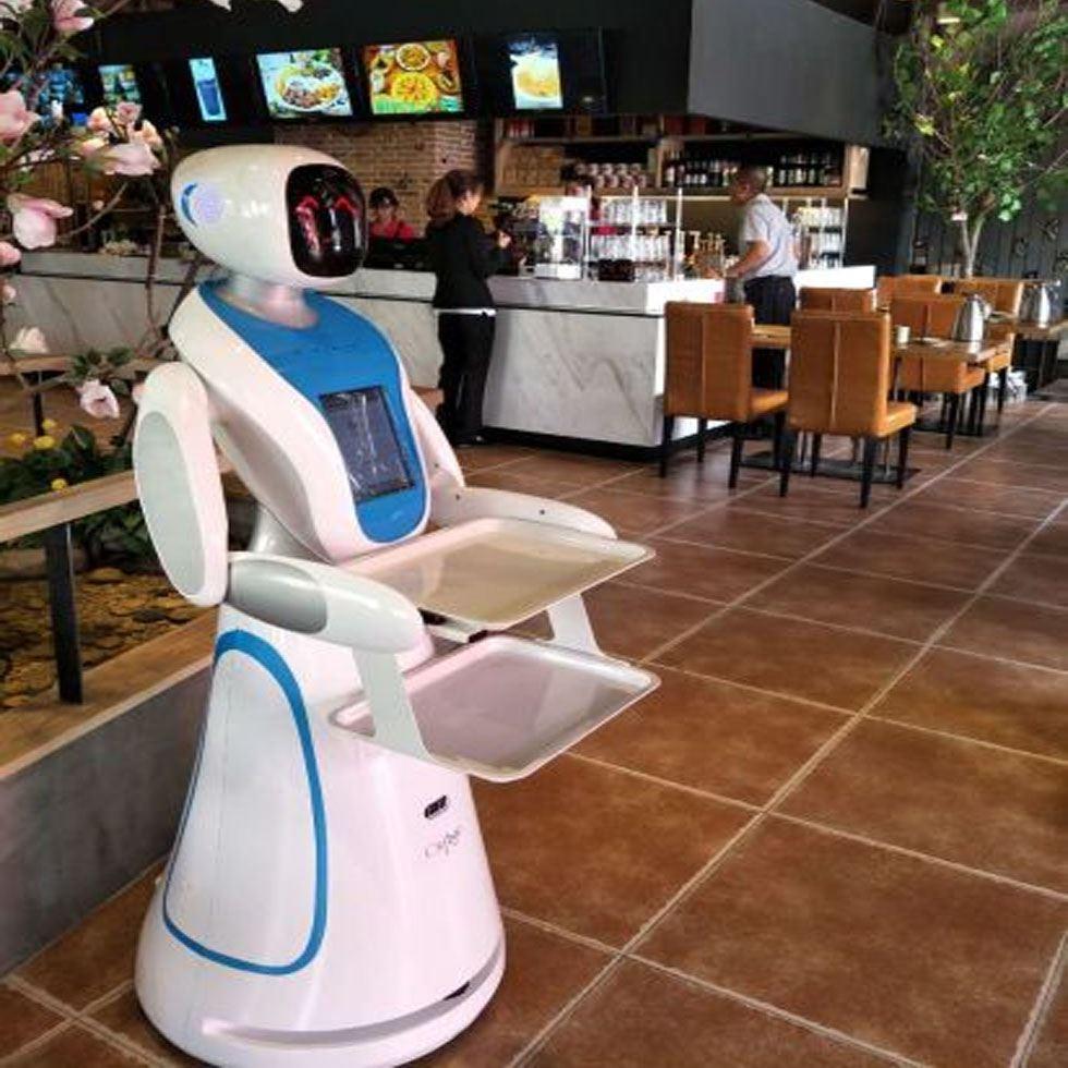 Waiter Delivery Robot Image