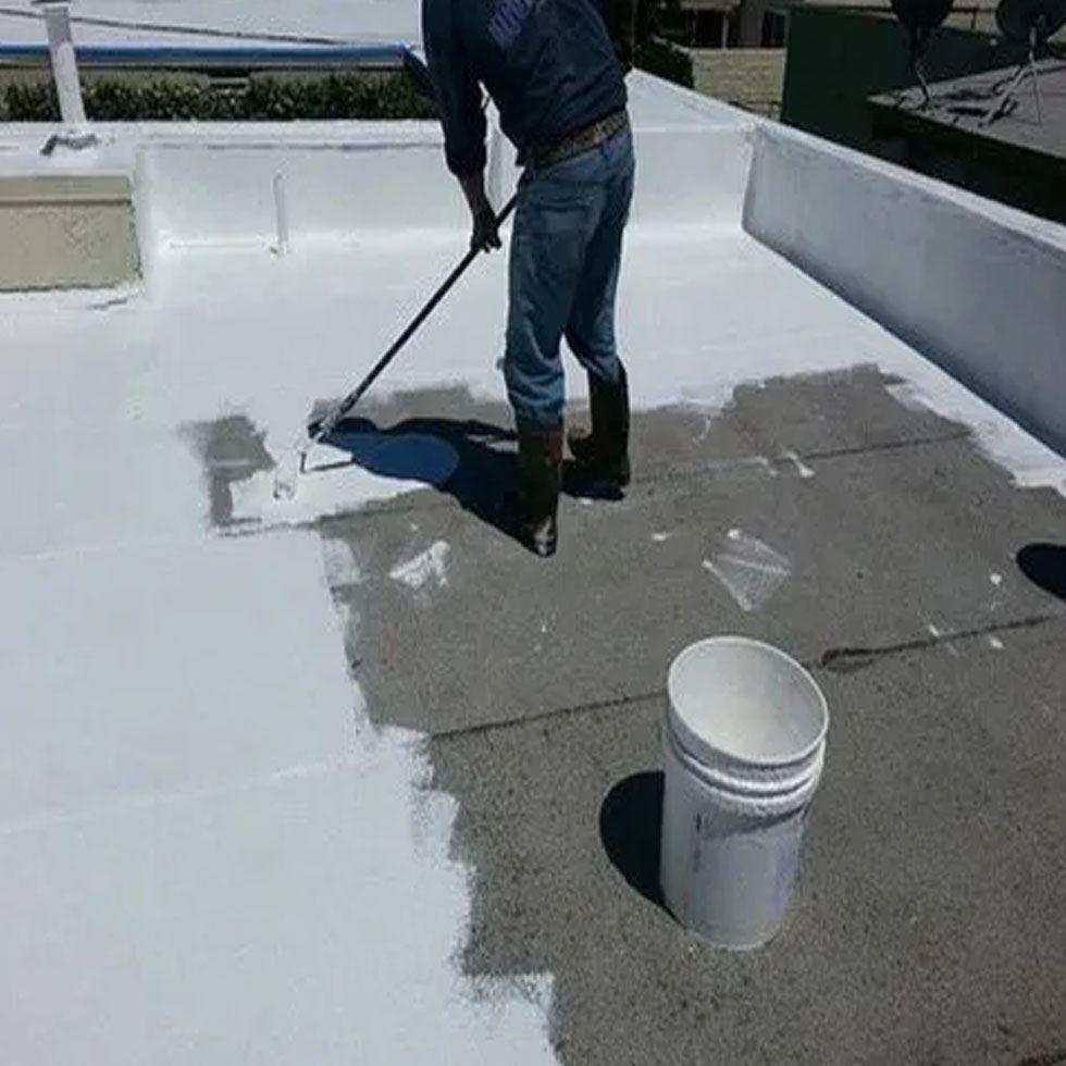 Water Proofing Coating Service Image