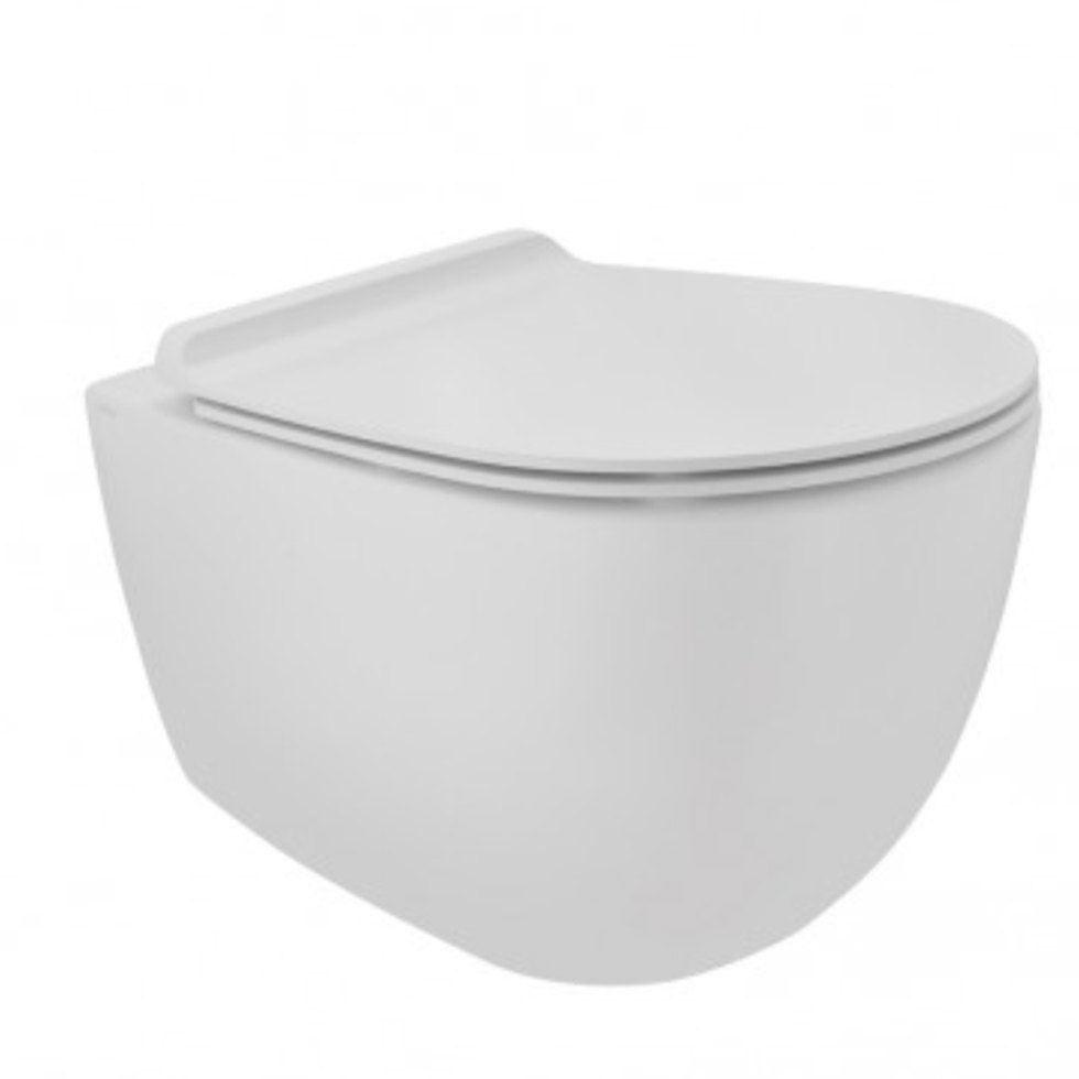 White Hung Toilet Image