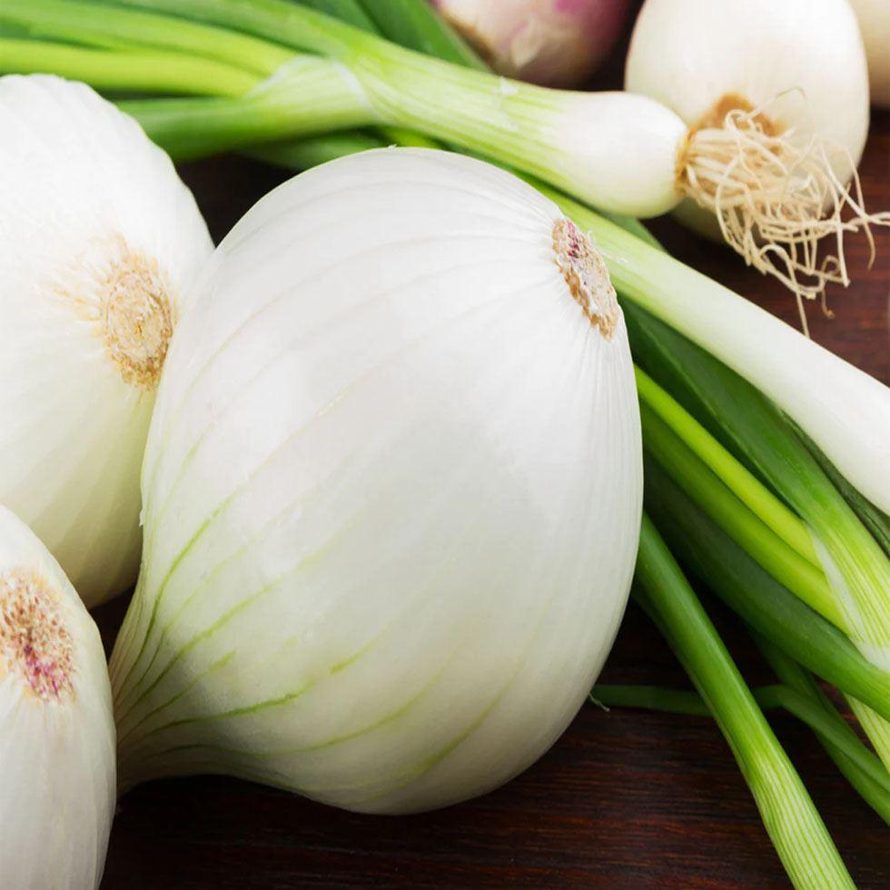 White Onion Image