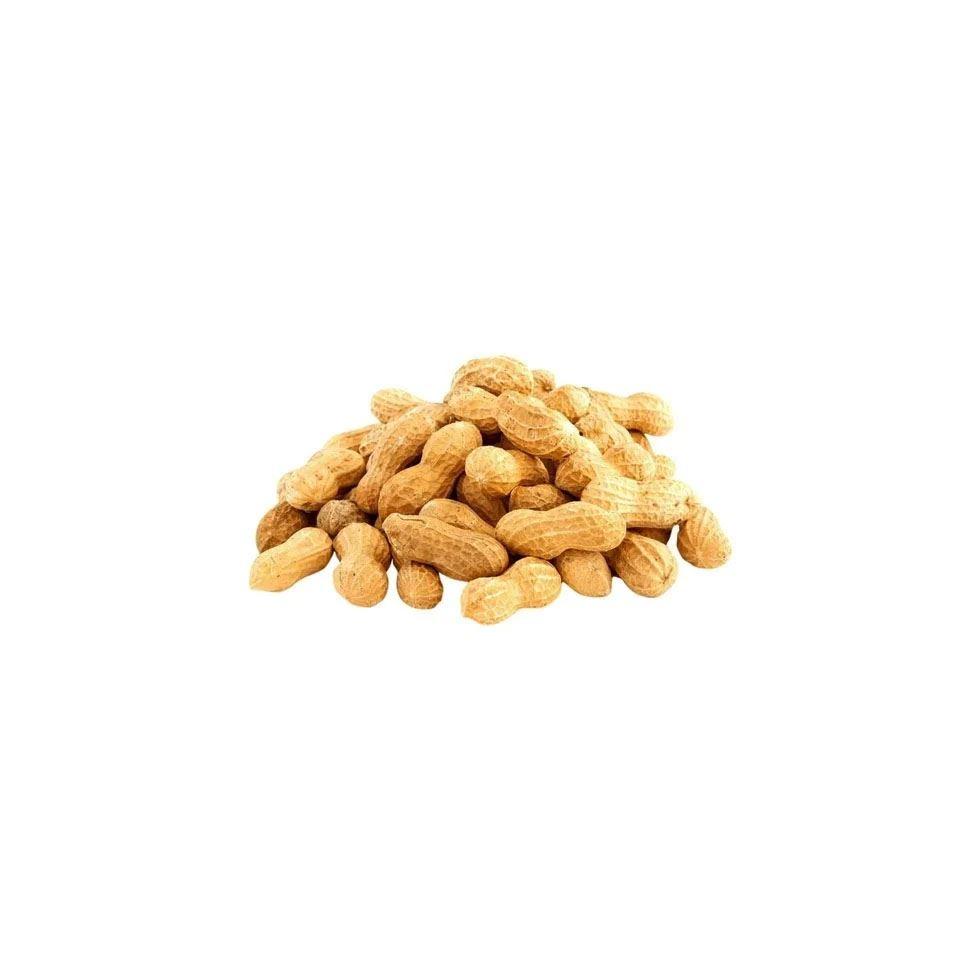 Whole Groundnut Image